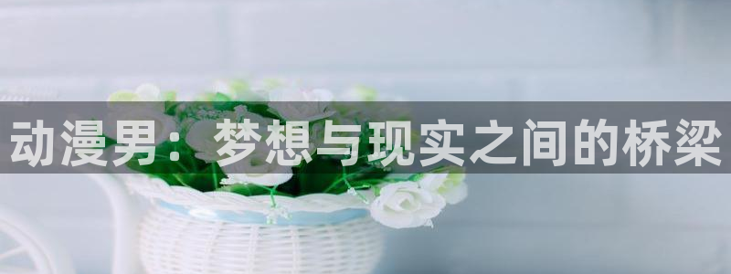 51动漫：动漫男：梦想与现实之间的桥梁