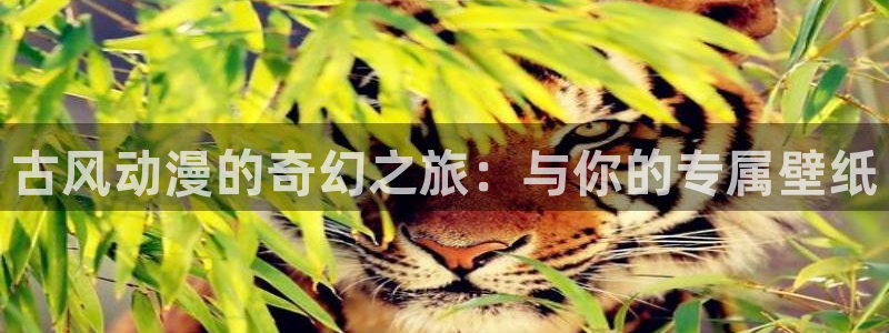 51动漫官网首页：古风动漫的奇幻之旅：与你的专属壁纸