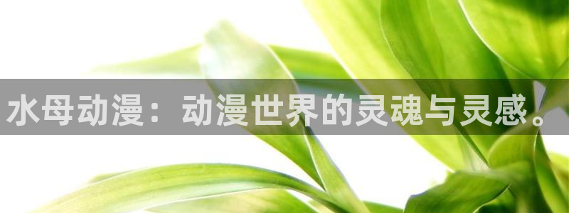 51动漫阅读：水母动漫：动漫世界的灵魂与灵感。