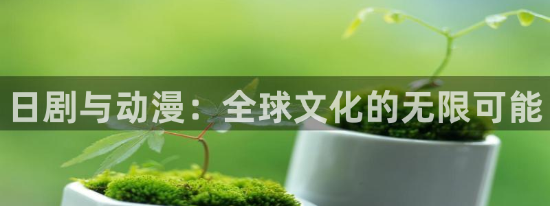 51动漫黄：日剧与动漫：全球文化的无限可能