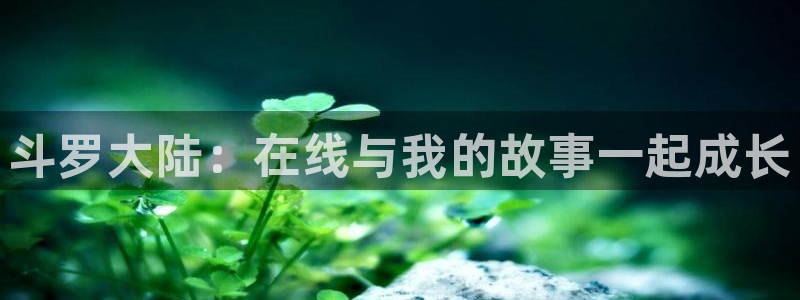 51动漫漫画网站免费：斗罗大陆：在线与我的故事一起成长